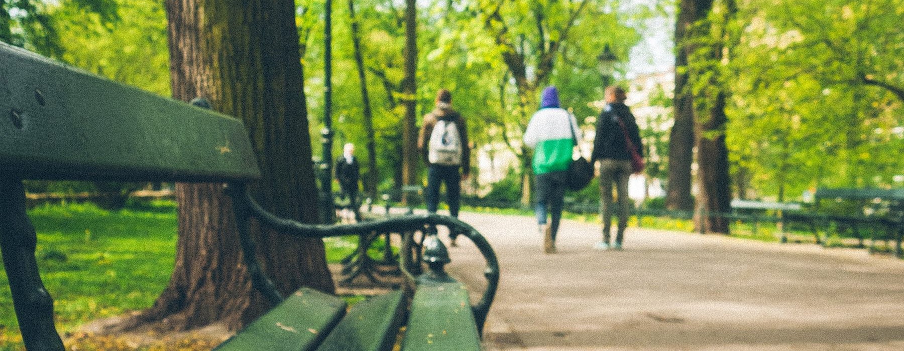 people walking in a park