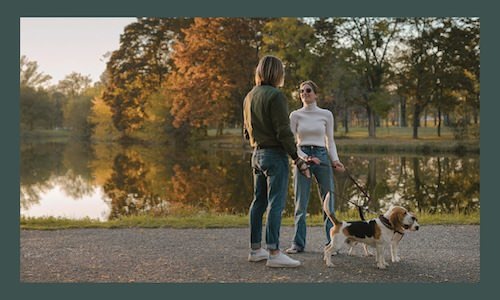 a couple walking their dog down a path