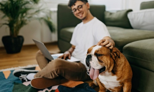 a person sitting on the ground with a dog in front of a couch